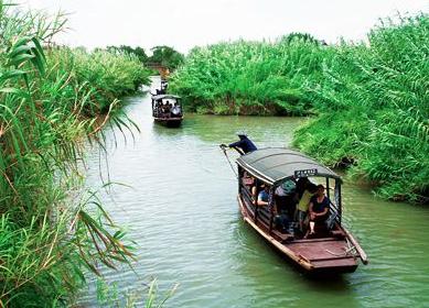沙家浜.jpg